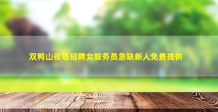 双鸭山夜场招聘女服务员急缺新人免费提供